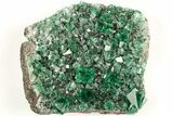 Fluorescent Green Fluorite Cluster - Diana Maria Mine, England #208861-1